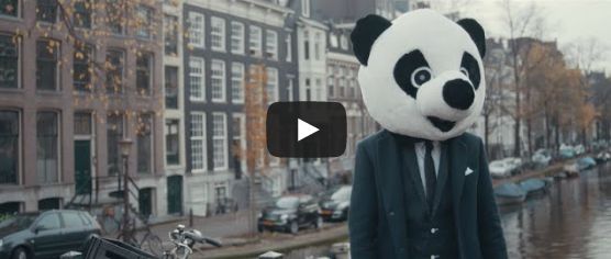 Borgeous & Shaun Frank - This Could Be Love feat. Delaney Jane 