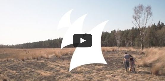 Lost Frequencies feat. Janieck Devy - Reality (Official Music Video)